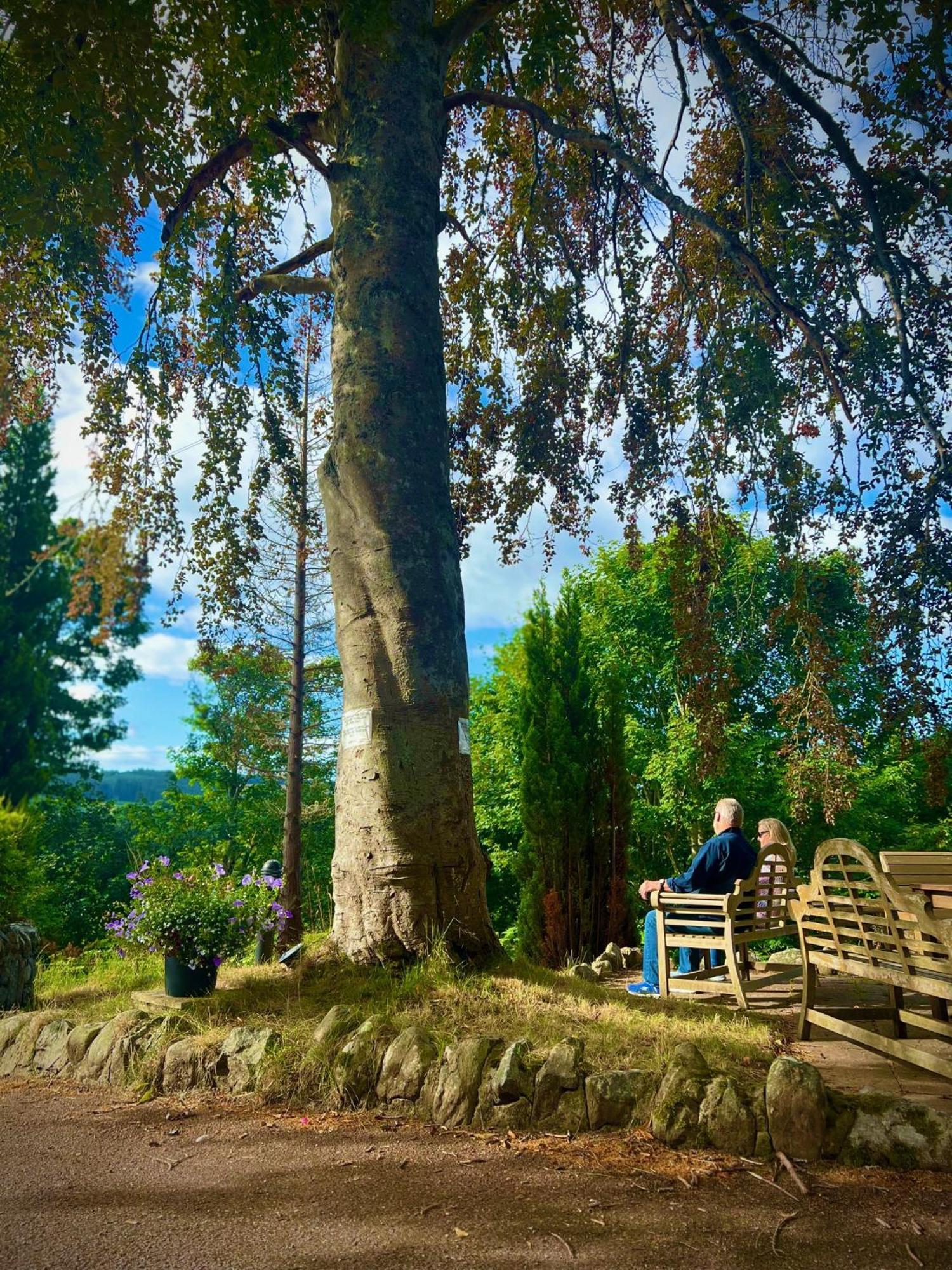 Loch Ness 3* Друмнадрочит